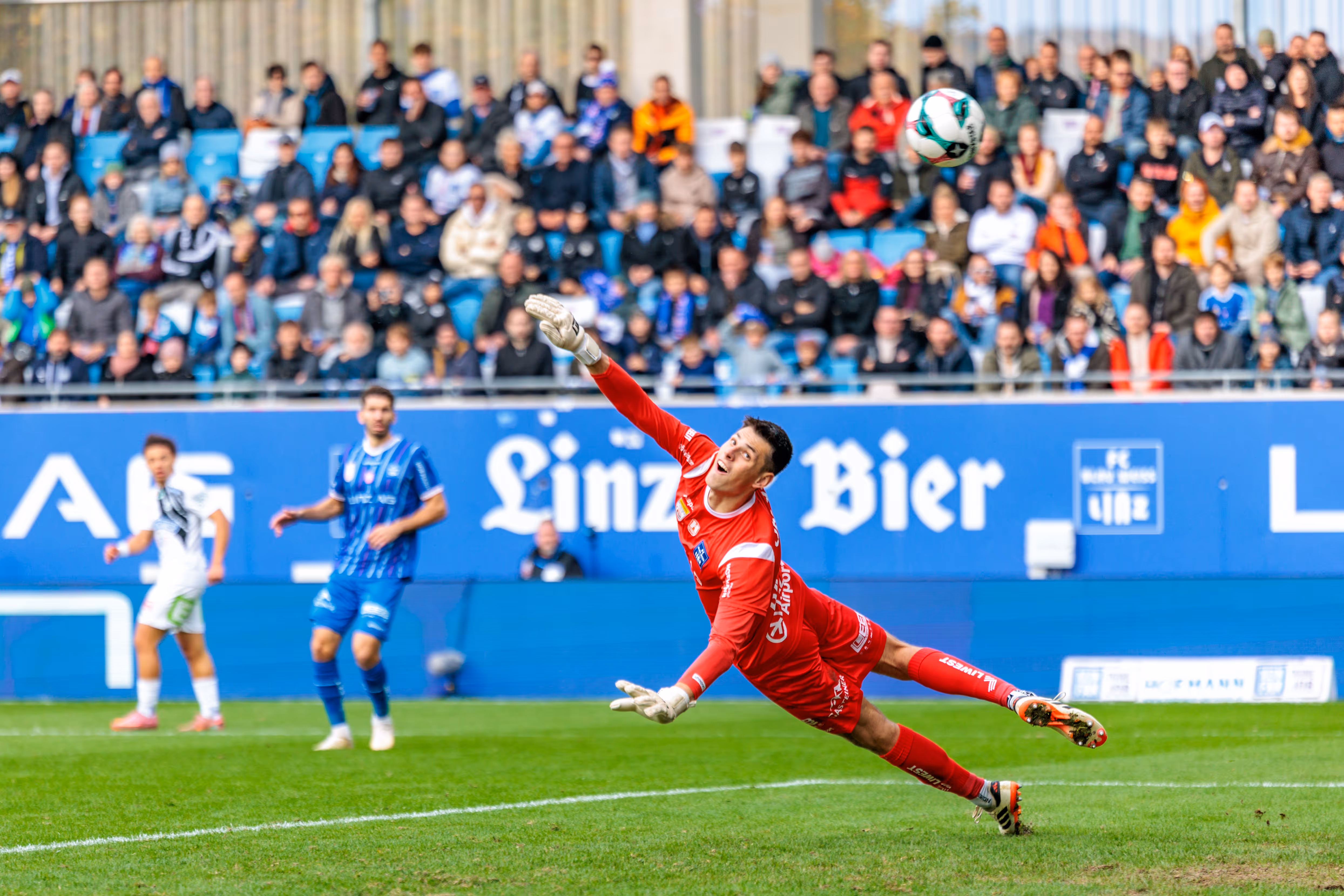 4:3-Krimi im Donauparkstadion: Sturm jubelt nach irrer Achterbahnfahrt