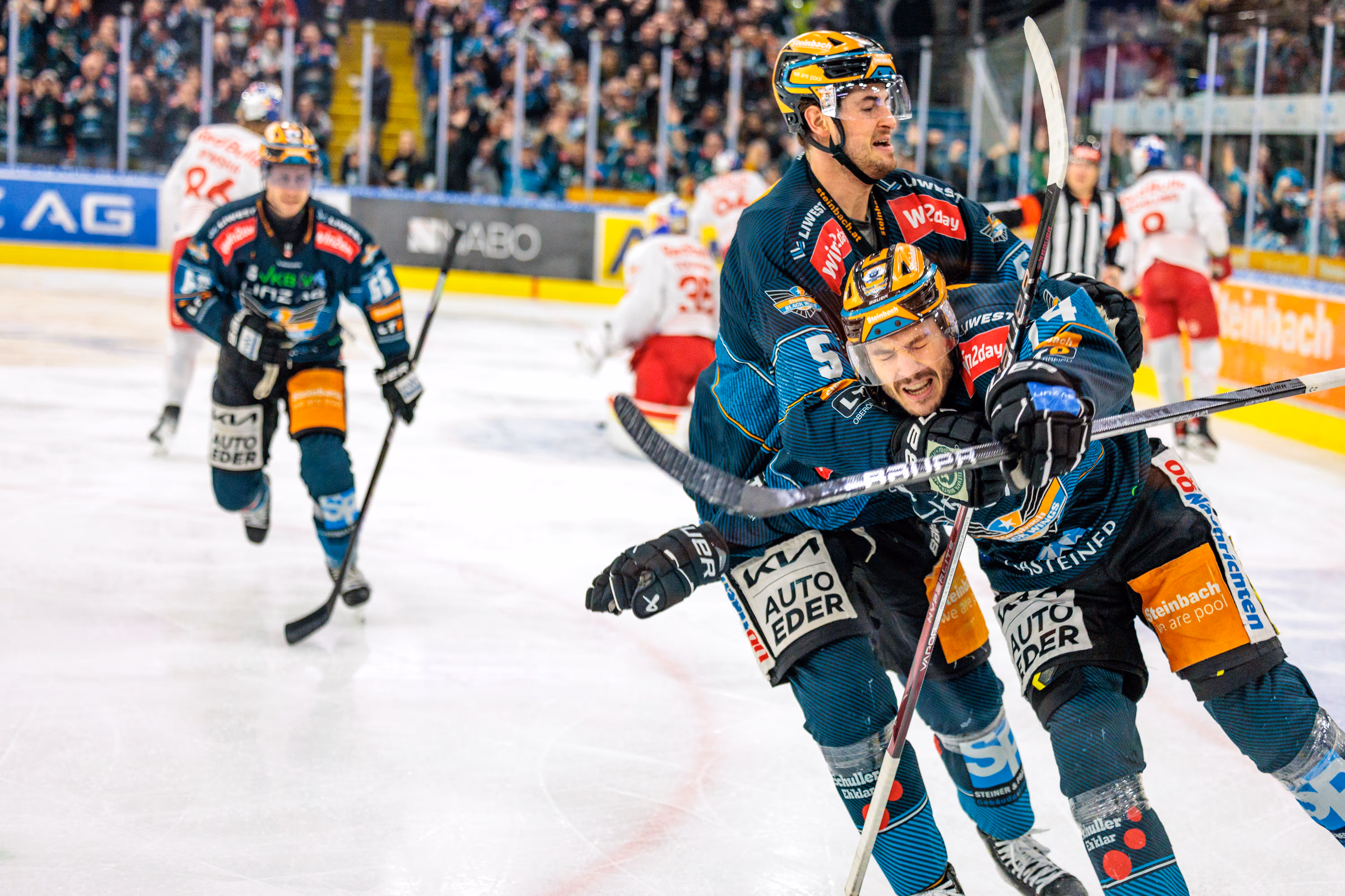 Playoff Viertelfinale 2. Spiel: Black Wings vs Red Bull Salzburg